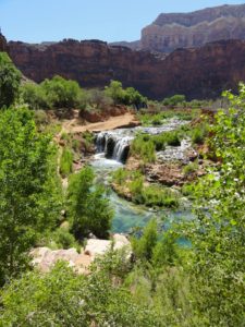 Havasu_Creek_Tour_BGWild