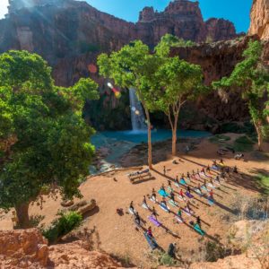 Havasu_Falls_Campground_BGWild