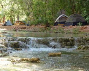 Havasu_Falls_Lodge_BGWild