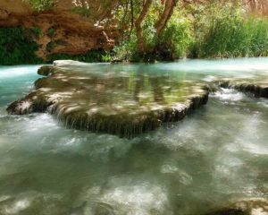 Supai_Falls_Water_BGWild