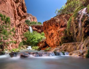 Havasu-Creek_BGWild