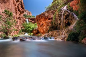 Havasu_Creek_BGWild